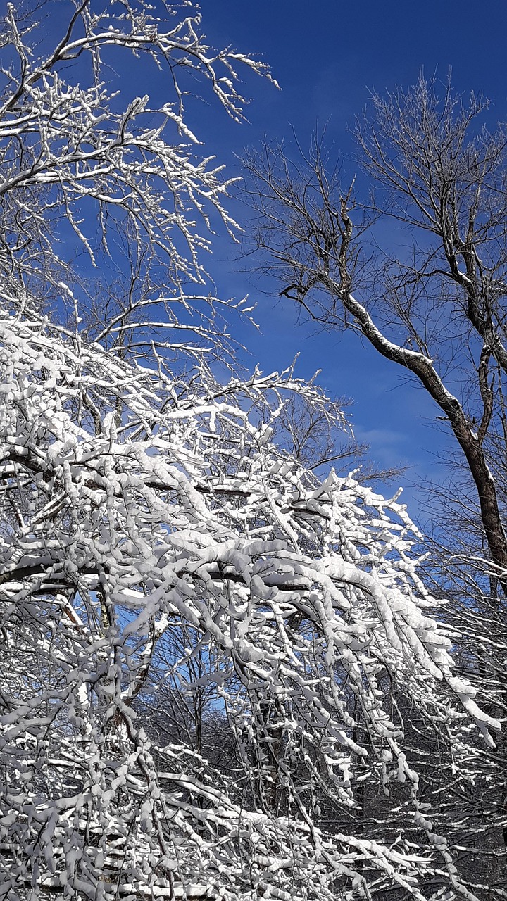 雪 冬天 冰 - Pixabay上的免费照片 - Pixabay