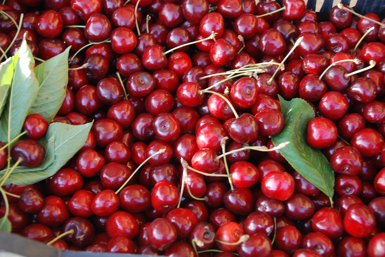 Cherry Fruit Ripe Free photo on Pixabay Pixabay