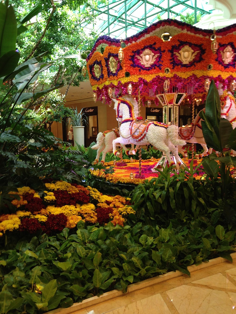 Las Vegas Flowers Nevada Free photo on Pixabay Pixabay