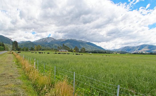 Free Nz Nature photo and picture