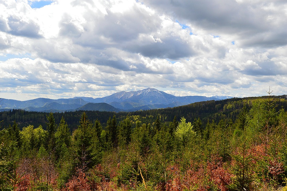 下山, 山, 低いオーストリア, スキー場, スプリング, 滑走路, 雪山, フォレスト, 木, 雲, 曇り