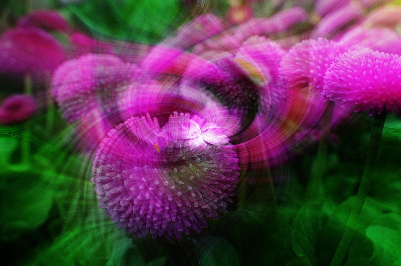 Flower Effect Spring Free photo on Pixabay Pixabay
