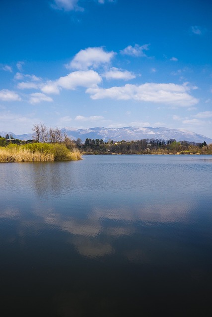 Die Nadel, Natur, Landschaft, Wasser