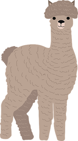 800+ Alpaca Pictures and Photos in HD