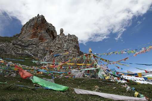 Alpine Construcción, Naturaleza
