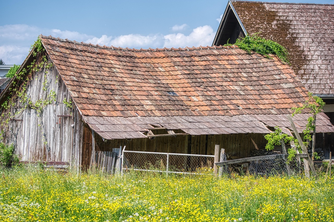 Barn - free online jigsaw puzzle photo