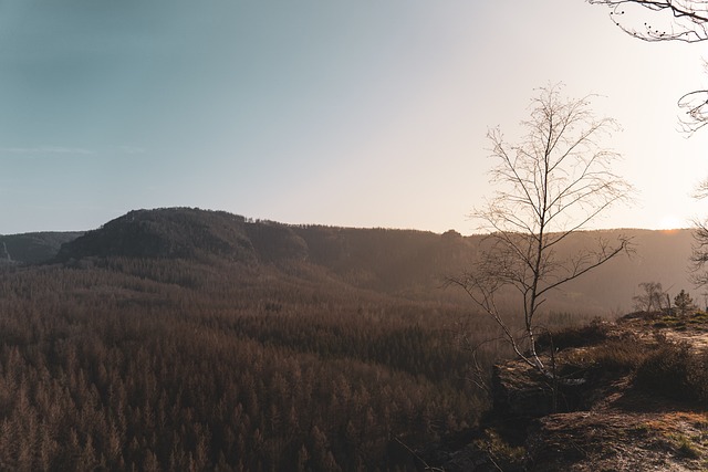 Free Saxon Switzerland Saxony photo and picture