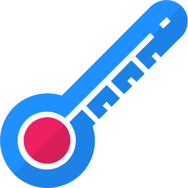 Free thermometer icon medicine vector