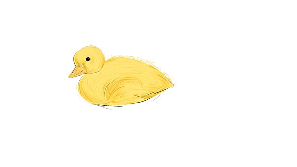 Free Duck Small illustration and picture