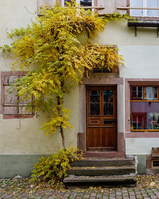 Alsácia, Riquewihr, Pitoresca