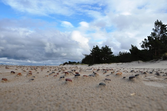 Free Baltic Beach photo and picture