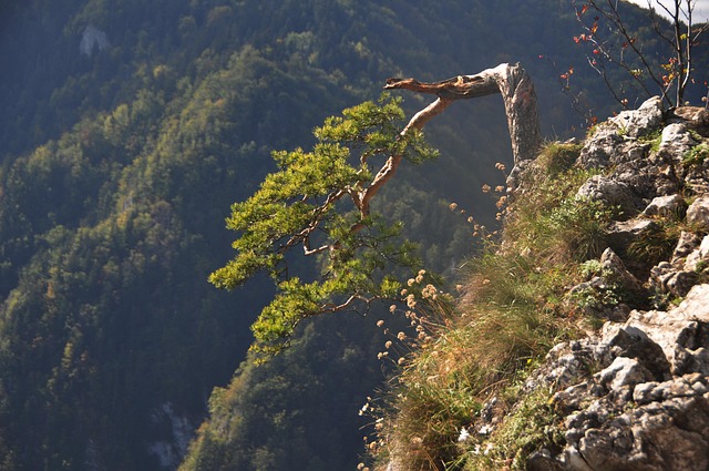 Free Sokolica Mountains photo and picture