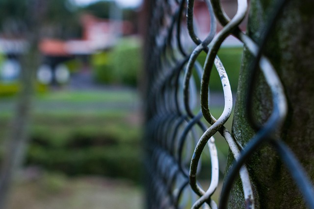 Free Park Mesh photo and picture
