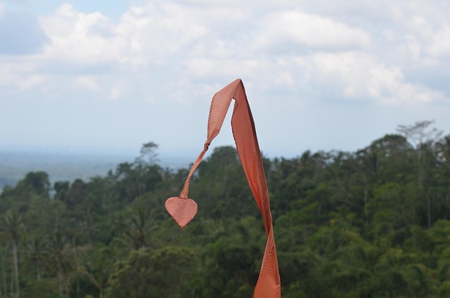 Free Flag Love photo and picture