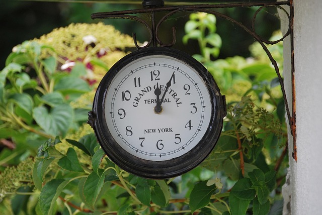 Uhr, Wanduhr, Zeit, Zifferblatt, Wand