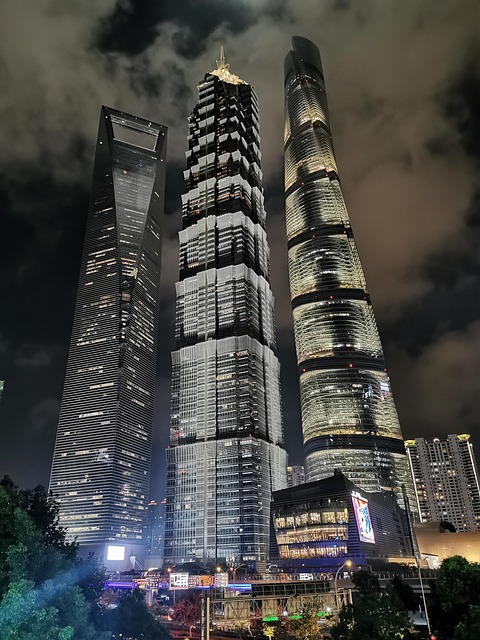 Free Shanghai Downtown photo and picture