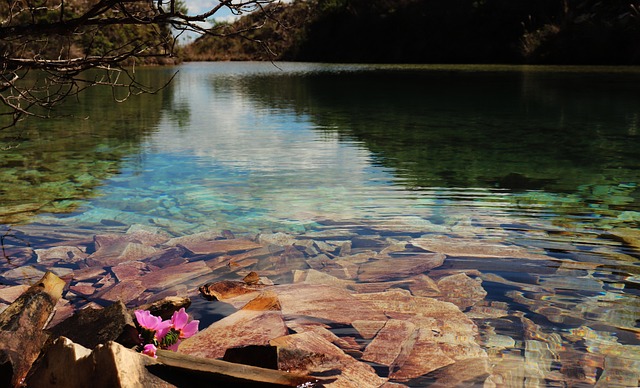 Free Lake Pond photo and picture