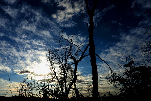 Free Sky Blue photo and picture