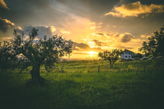 Free Sunset Nature photo and picture