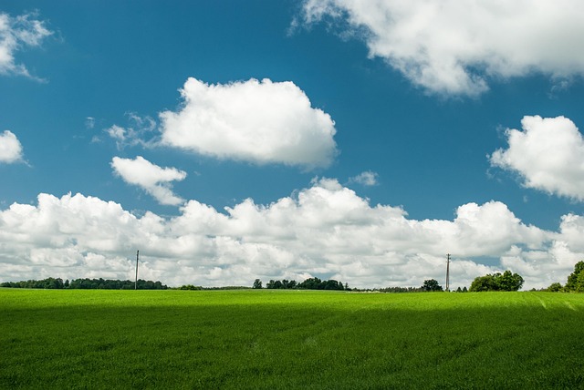 Gebied, Wolken, Landschap, Landbouw, Weg