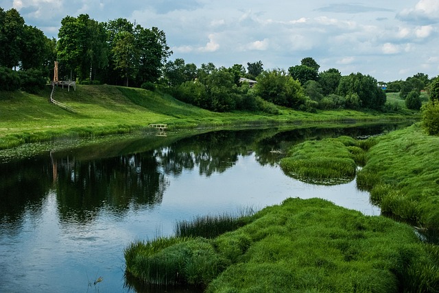 Rivier, Groente, Natuur, Kreek, Water