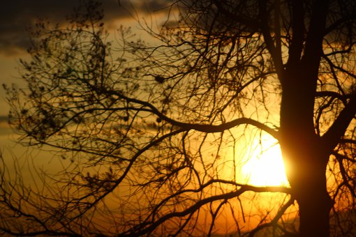 Schattierungen, Silhouetten, Landschaft