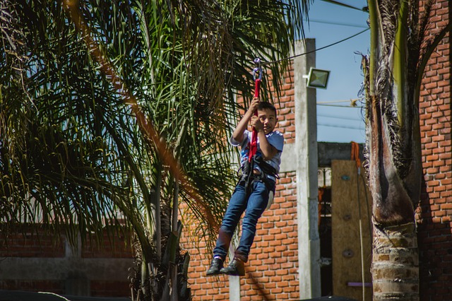 Free Zipline Fun photo and picture