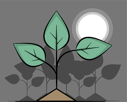 Free Plant Green vector and picture