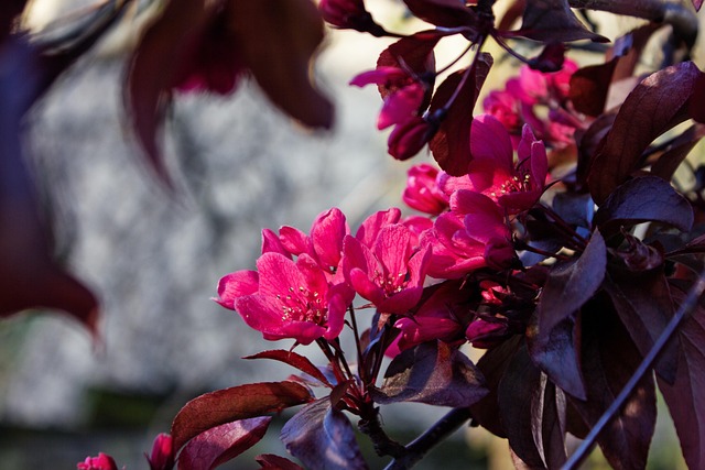 Free Spring Easter photo and picture