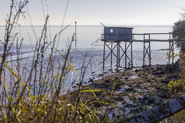 Talmont, Rødspætte, Synd, Flodmunding