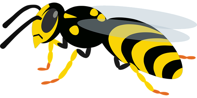 Free wasp fly insect vector