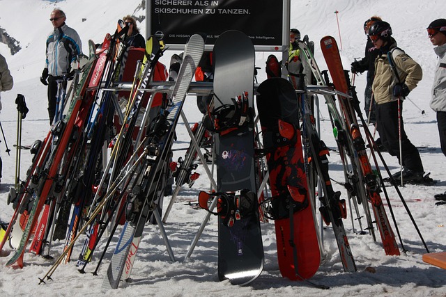 Free Winter Skier photo and picture