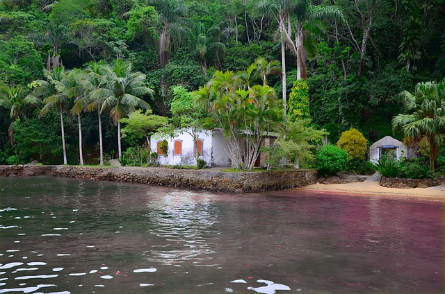 Brasilien, Hav, Natur