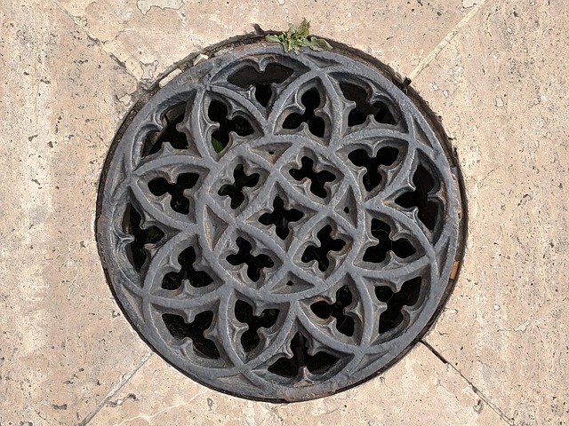 Free Strainer Border photo and picture