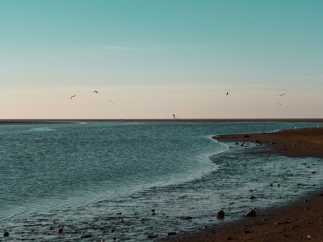 Costa, Strand, Kust, Zee, Oceaan, Zomer