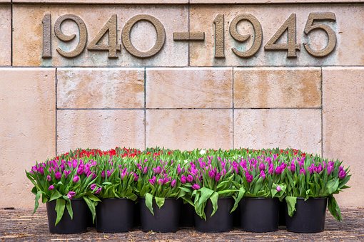 Andre Verdenskrig, Minnedag, Tulipaner