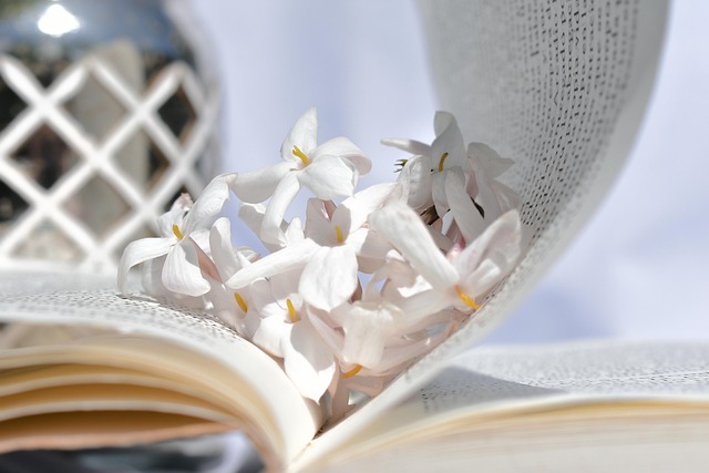 Free Flower White photo and picture
