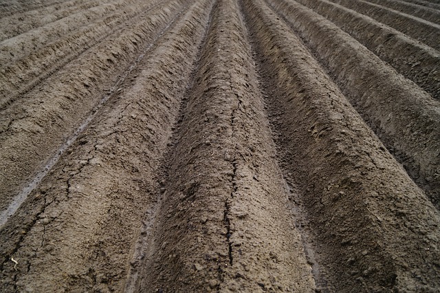 Free field agriculture dryness illustration