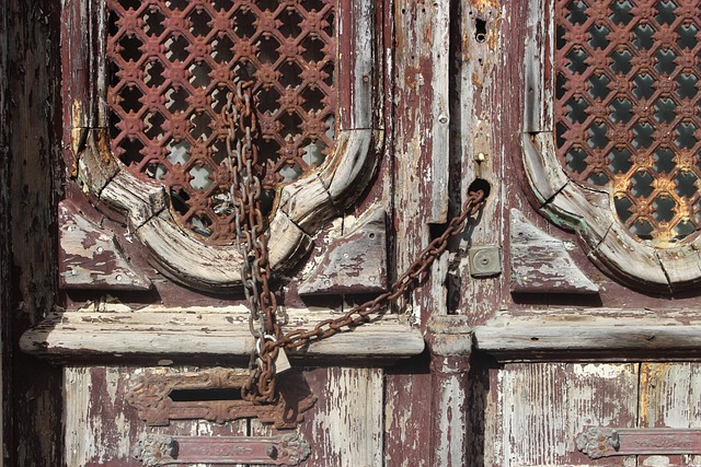 Free Door Castle photo and picture