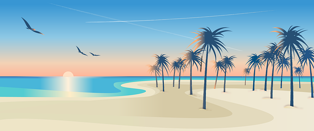 Free beach palms sunset illustration