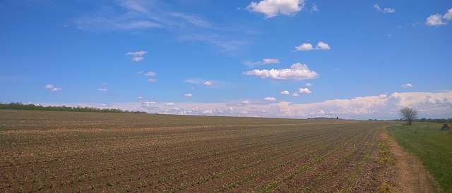A, Bulgarien, Feld, Ernte, Der Provinz