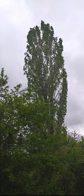 Natur, Foto, Landschaft, Himmel