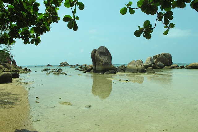 Free Beach Kho Samui photo and picture
