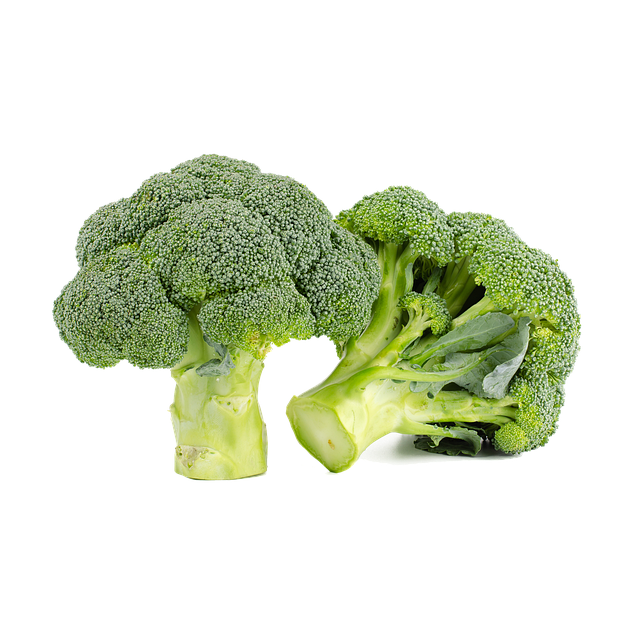 Free broccoli green food illustration