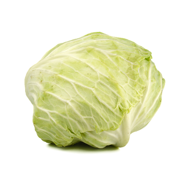 Free cabbage green vegetable illustration