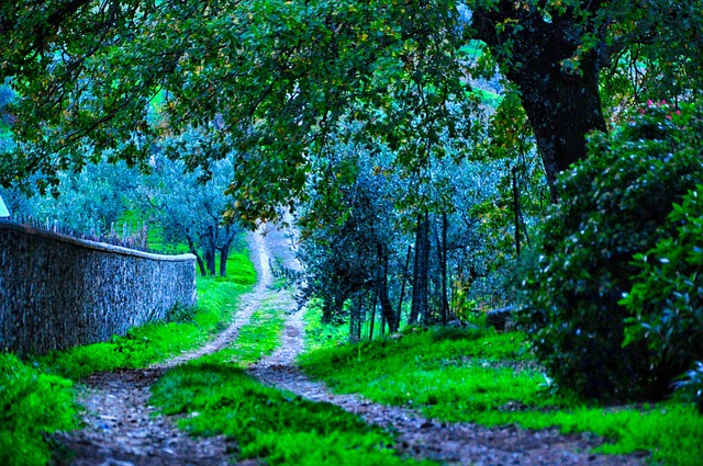 País, Naturaleza, Agricultura, Panorama