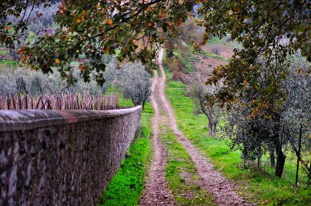 País, Naturaleza, Agricultura, Panorama