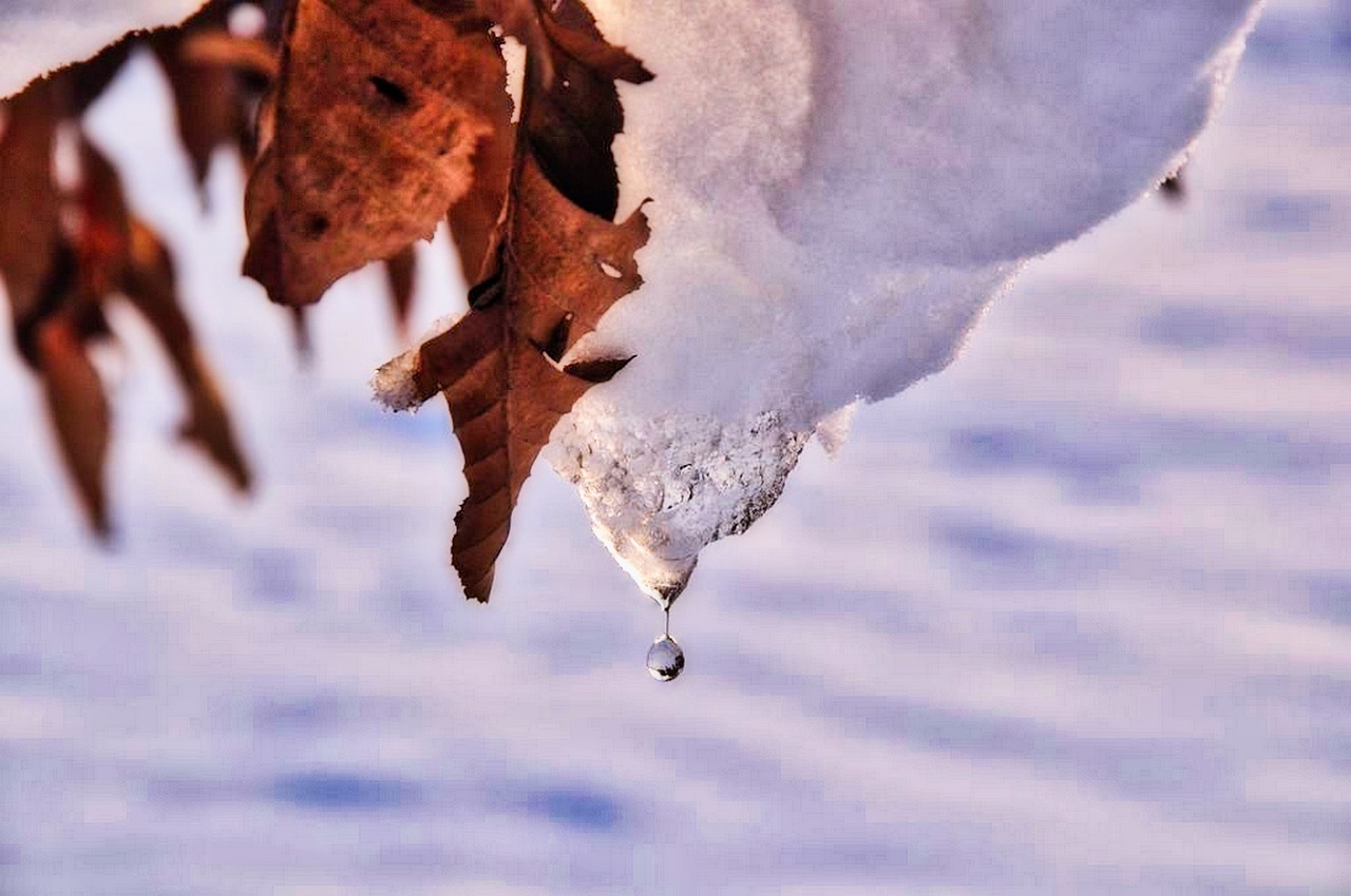 雪 冰 寒冷的 - Pixabay上的免费照片 - Pixabay