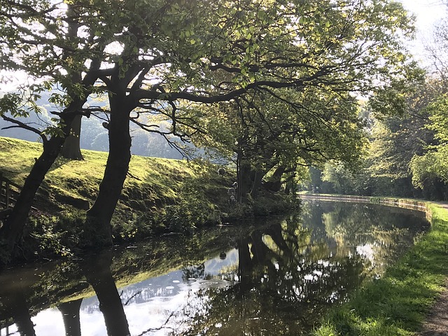 Kanal, Die Schafe, Ackerland, Wasser