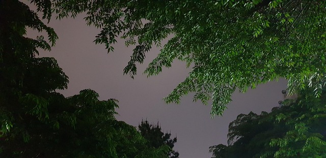 Noche, Cielo, Descanso, Especulación